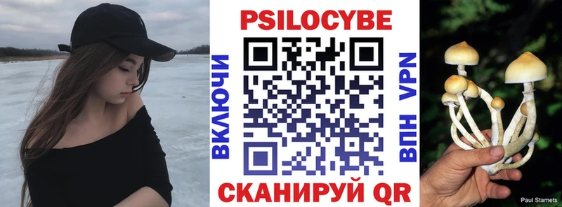 Псилоцибиновые грибы прущие грибы  хочу наркоту  Чадан 
